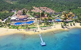 Long Beach Club Nature